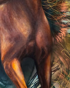 HORSE WITH NO NAME
