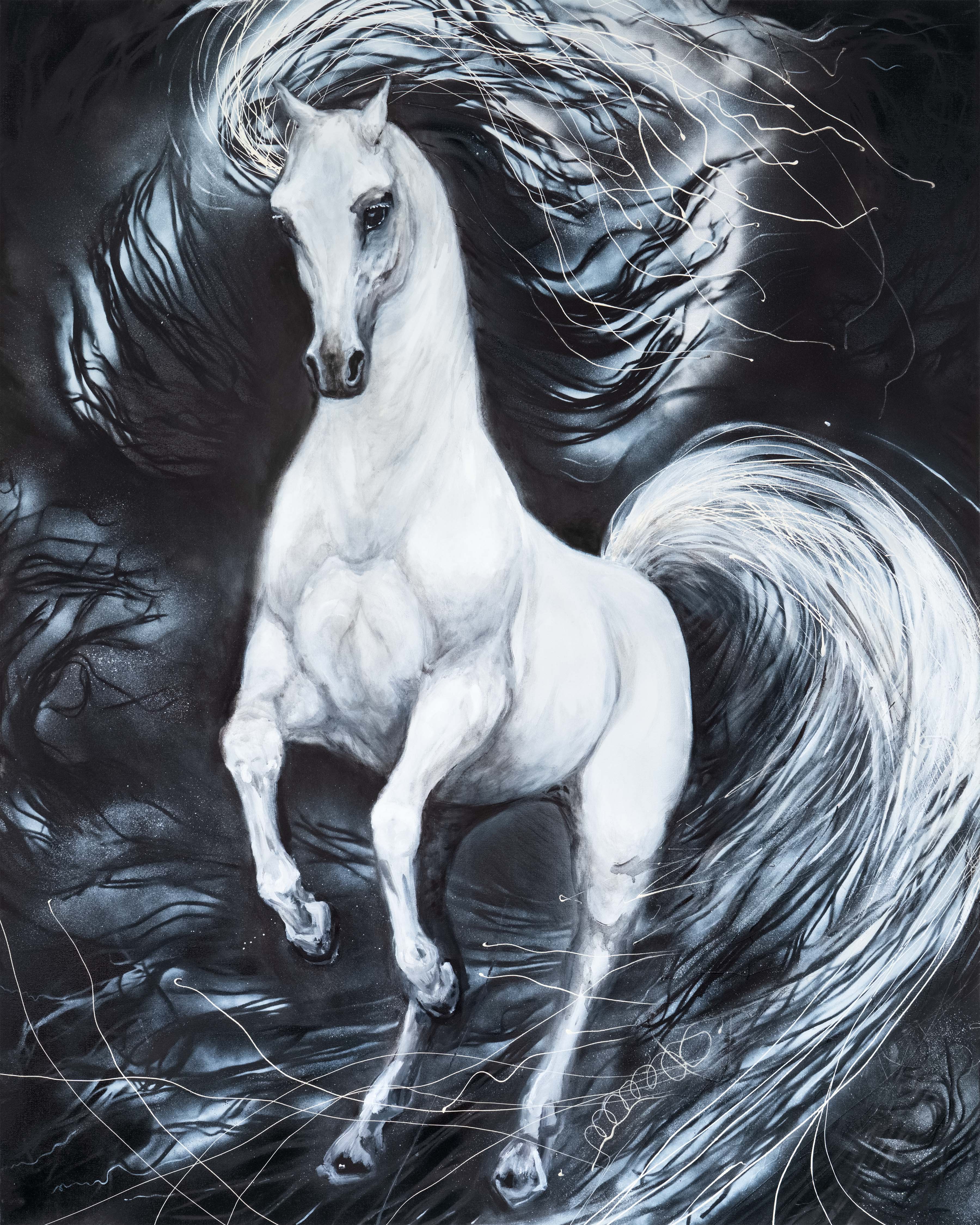 MIDNIGHT WARRIOR I