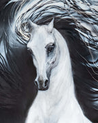 MIDNIGHT WARRIOR I